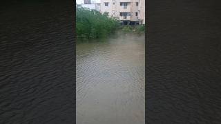 2023 Flood  Mugalivakkam [upl. by Adnoek]