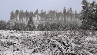 Kielder Forest  Snow fall Feb 2024 [upl. by Rorry]