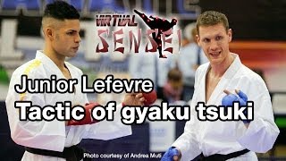 Junior Lefevre  Biomechanics and tactic of gyaku tsuki  Karate All Stars 2013 [upl. by Melantha]