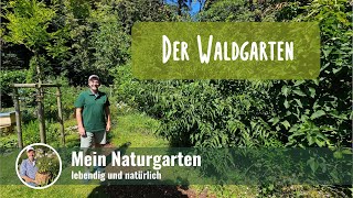 Rundgang Waldgarten im Naturgarten 🌳 [upl. by Eelyme]