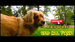 Luna Walks Red Hill Park [upl. by Veda]