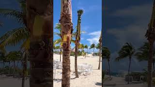 Cancun Beautiful Beaches shorts beautiful nature [upl. by Girvin755]