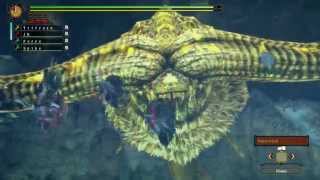 MH3U Goldbeard Ceadeus Speedrun in 107 no glitch [upl. by Wylen23]