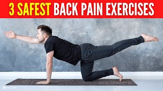 3 Safest Lower Back Pain Exercises FOR LONG LASTING RELIEF [upl. by Hemphill959]