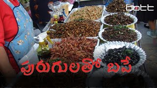 Singapore approves 16 species of insects for cooking [upl. by Mosier]