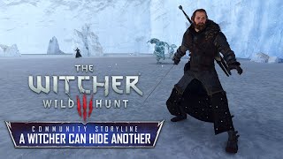 The Witcher 3 A Witcher Can Hide Another A Community Storyline Spoilers Alert [upl. by Jegar759]