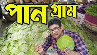 আগুন ঘরে চার পাঁচ দিন পান গুলোকে রাখা হয়  Paan Pan wholesale GHURTE JABO Banarasi Paan Medinipur [upl. by Dituri]