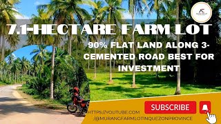 Vlog33 71hectare farm land for saleAlong 3Cemented road best for investment propertyforsale [upl. by Ahaelam]