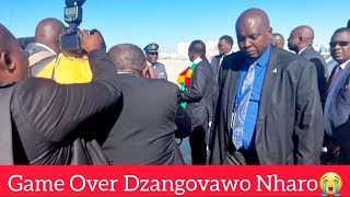 Njuga Dzarema Pa Zimbabwe Honai Zvaakuitika Manje😳 [upl. by Dorina]