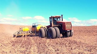 Planting canola in South Africa [upl. by Maxama]