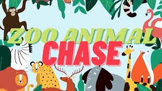 ZOO ANIMAL CHASE  Virtual PE Workout l Brain Break Activity l Zoo Animals [upl. by Leamsi]