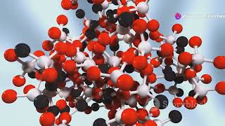 SEM Spectra of Adsorbent Before and After Adsorption [upl. by Dun]