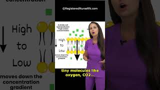 Cell Transport Type Quiz Facilitated Diffusion vs Active Transport vs Simple Diffusion [upl. by Wellington]