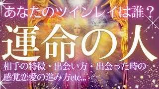 【あなたの運命の人❤️ツインレイ】出会った時の感覚や特徴⭐️お相手がいる方も、これから出会いを探している方も❤️恋愛タロット占い [upl. by Arihay]