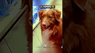 El Perro que Desafió al Dueño 🐕✨ [upl. by Kalvin]