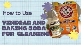 Baking soda  Vinegar experiment for cleaning [upl. by Atterehs]