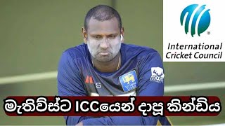 ICC mocks Angelo Mathews [upl. by Anaidni]