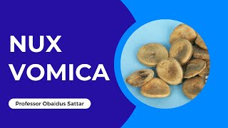 Nux Vomica  Homeopathy Remedy [upl. by Yrrap195]