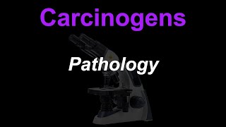 Carcinogens [upl. by Vonny84]