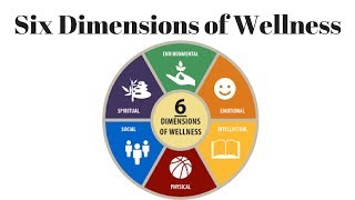 The 6 dimensions of wellness [upl. by Ahsal]