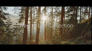 Clogau  The Tree of Life® Collection [upl. by Keynes]