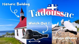 TRAVEL VLOG  Let’s visit Tadoussac and go whale watching [upl. by Andel]