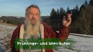 Unkräuter amp Frühlingskräuter [upl. by Maddi]