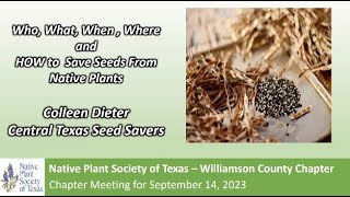 Sep 2023 Seed Saving for Native Plants wColleen Dieter [upl. by Alexander]