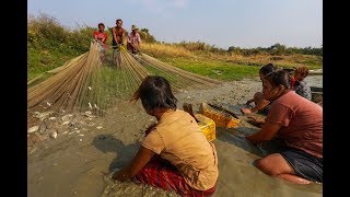 Saving Chindwin’s Biodiversity [upl. by Nnylsoj468]