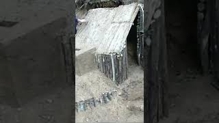 bushcraft build camp camping survival shelter wildlife skills lifehacks forest [upl. by Hagi345]