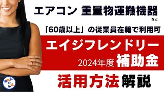 最大100万円 補助金でエアコンからパワーアシストスーツまでシルバー人材の職場環境改善に役立つツールの購入費用を国が支援｜エイジフレンドリー補助金2024年度版を解説｜補助金の広場【公式】 [upl. by Xirdnek]