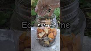 Eco enzyme Bio enzyme Pernah dengar ke [upl. by Lesli]