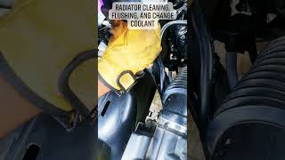 Ford Fiesta Radiator Cleaning Flushing and Change Coolant [upl. by Lipscomb12]