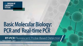 Basic Molecular Biology PCR and RealTime PCR – RTPCR Fluorescent ProbeBased Detection [upl. by Fidole379]