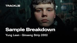 Sample Breakdown Yung Lean  Ginseng Strip 2002 [upl. by Dinin34]