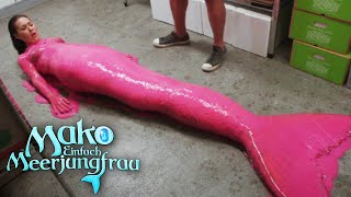 Überraschung in Pink  Staffel 2 Kurzfolge 2  Mako  Einfach Meerjungfrau [upl. by Seugirdor127]