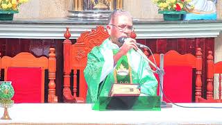 32st Ordinary Sunday Mass Church of StAntony Mullanganavilai  Live Stream 10112024 [upl. by Ajnek102]