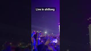 cherry blossom festival in shillong 2024 shillongshortvideo [upl. by Werdma]