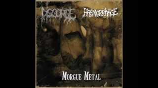 Disgorgemex amp Haemorrhage  Morgue Metal FULL ALBUM [upl. by Eisac]