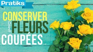 Comment conserver des fleurs coupées [upl. by Erbas]