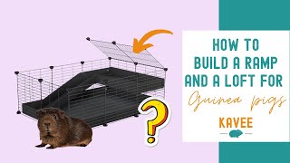 How to Build a Ramp and a Loft Effortlessly on your Guinea Pigs CampC Cage [upl. by Harelda913]