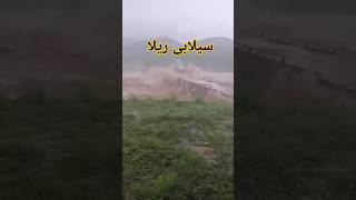 Sailab ne pull gira dea  Flood damaged bridge flood fyp punjab viralvideo shorts viralshort [upl. by Limoli]