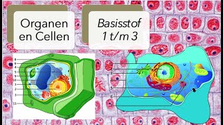 Thema 1 Organen en cellen basisstof 1 tm 3 [upl. by Blancha]