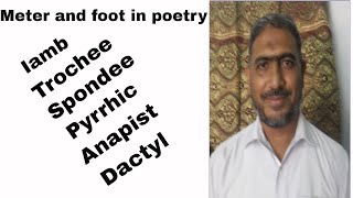 What is Meter in Poetry  Iamb  Trochee  Spondee  Anapest  Feet  Beats syllables Types [upl. by Oznarol161]