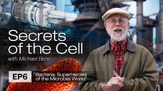 Bacteria Superheroes of the Microbial World Secrets of the Cell Episode 6 [upl. by Dugas]