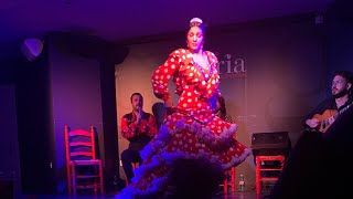 Flamenco show at the Tablao Flamenco Alegría in Malaga Spain  experience the passion of Andalucia [upl. by Ives362]