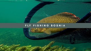 FLY FISHING BOSNIA PLIVA AND RIBNIK RIVERS [upl. by Tigdirb]