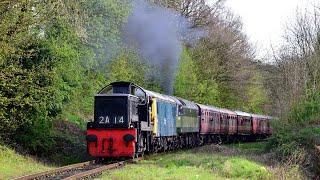 Twin Peaks Diesel Gala  Ecclesbourne Valley Railway amp Peak Rail  April 2024 [upl. by Sylvia252]