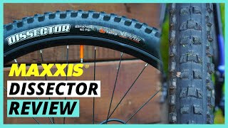 The Best Do It All Mountain Bike Tire  Maxxis Dissector Review [upl. by Gwen]