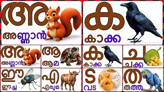 Malayalam swaraksharangal vyanjana aksharangal അ ആ ഇ Malayalam vowels And consonants [upl. by Annoyt]